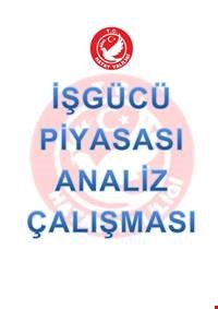 İşgücü Piyasası Analiz Çalışması