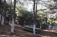 Belen, Güzelyayla Mesire Alanı