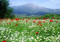 Keldağı Etekleri